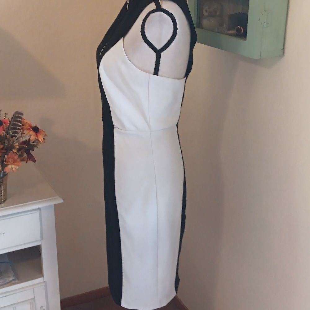 Alexia Admor Colorblock Dress - Picture 7 of 15